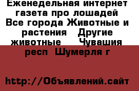 Еженедельная интернет - газета про лошадей - Все города Животные и растения » Другие животные   . Чувашия респ.,Шумерля г.